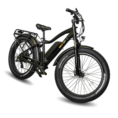 Electric Bikes