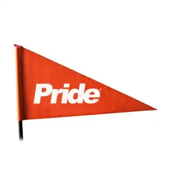 Safety Flag   